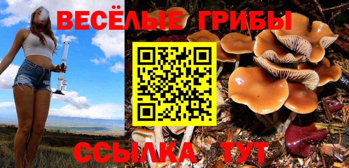 Галлюциногенные грибы мухоморы  Вход с VPN  закладка  Аша 